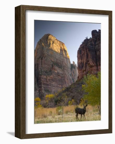 Utah, Zion National Park, the Great White Throne, USA-Alan Copson-Framed Photographic Print