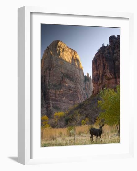 Utah, Zion National Park, the Great White Throne, USA-Alan Copson-Framed Photographic Print