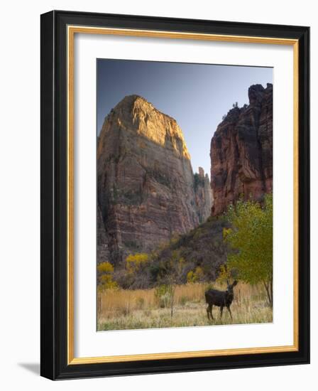 Utah, Zion National Park, the Great White Throne, USA-Alan Copson-Framed Photographic Print