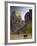 Utah, Zion National Park, the Great White Throne, USA-Alan Copson-Framed Photographic Print