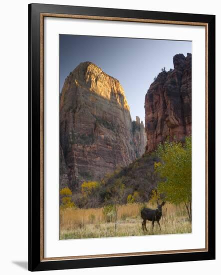 Utah, Zion National Park, the Great White Throne, USA-Alan Copson-Framed Photographic Print