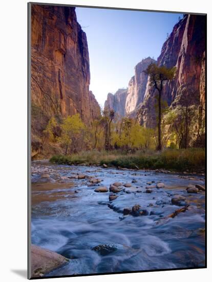 Utah, Zion National Park, the Narrows of North Fork Virgin River, USA-Alan Copson-Mounted Photographic Print