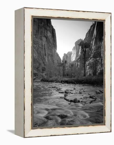 Utah, Zion National Park, the Narrows of North Fork Virgin River, USA-Alan Copson-Framed Premier Image Canvas