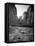 Utah, Zion National Park, the Narrows of North Fork Virgin River, USA-Alan Copson-Framed Premier Image Canvas