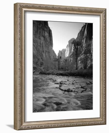 Utah, Zion National Park, the Narrows of North Fork Virgin River, USA-Alan Copson-Framed Photographic Print