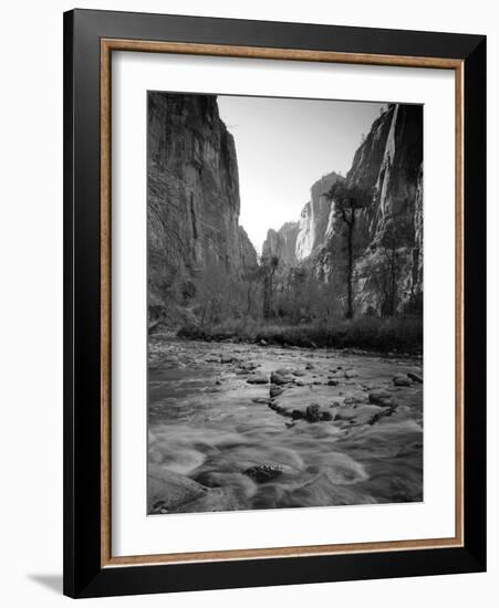 Utah, Zion National Park, the Narrows of North Fork Virgin River, USA-Alan Copson-Framed Photographic Print