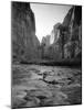 Utah, Zion National Park, the Narrows of North Fork Virgin River, USA-Alan Copson-Mounted Photographic Print