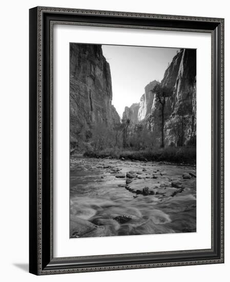 Utah, Zion National Park, the Narrows of North Fork Virgin River, USA-Alan Copson-Framed Photographic Print