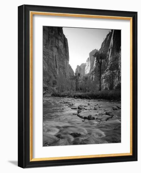 Utah, Zion National Park, the Narrows of North Fork Virgin River, USA-Alan Copson-Framed Photographic Print