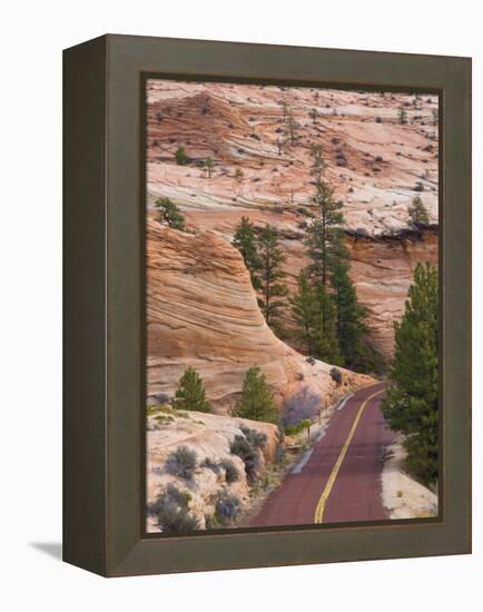 Utah, Zion National Park, USA-Alan Copson-Framed Premier Image Canvas