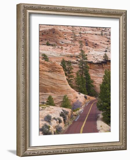 Utah, Zion National Park, USA-Alan Copson-Framed Photographic Print