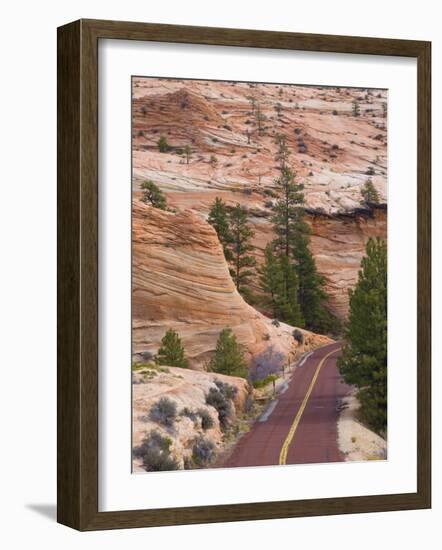 Utah, Zion National Park, USA-Alan Copson-Framed Photographic Print