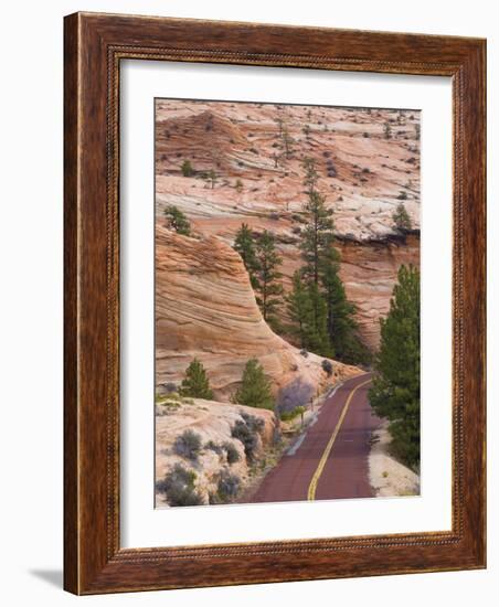 Utah, Zion National Park, USA-Alan Copson-Framed Photographic Print