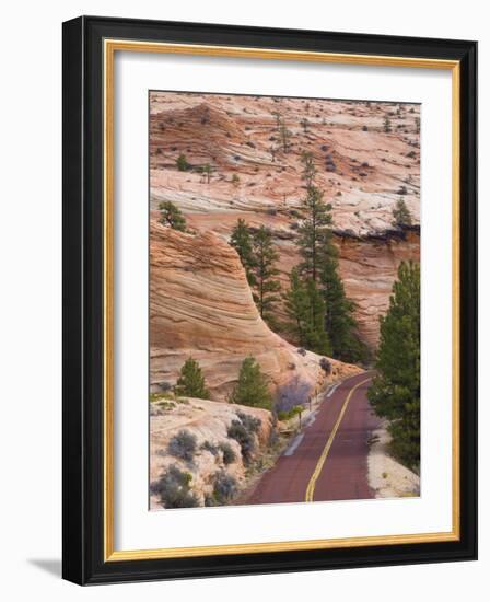 Utah, Zion National Park, USA-Alan Copson-Framed Photographic Print