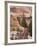 Utah, Zion National Park, USA-Alan Copson-Framed Photographic Print