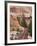 Utah, Zion National Park, USA-Alan Copson-Framed Photographic Print