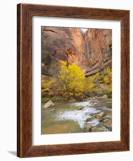 Utah, Zion National Park, Virgin River-Jamie & Judy Wild-Framed Photographic Print