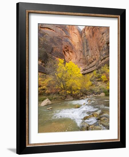 Utah, Zion National Park, Virgin River-Jamie & Judy Wild-Framed Photographic Print