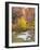 Utah, Zion National Park, Virgin River-Jamie & Judy Wild-Framed Photographic Print