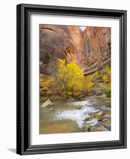 Utah, Zion National Park, Virgin River-Jamie & Judy Wild-Framed Photographic Print