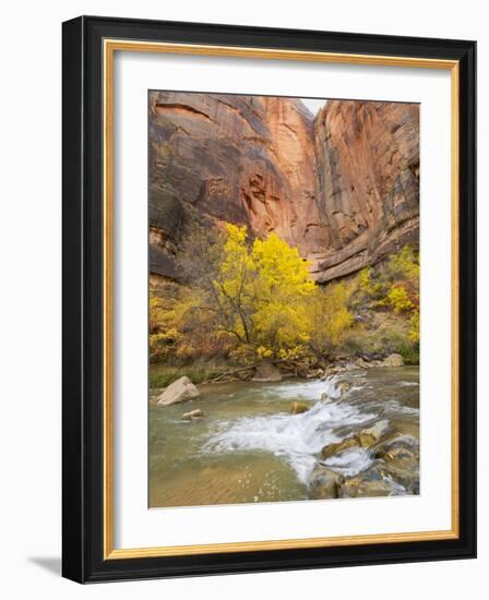 Utah, Zion National Park, Virgin River-Jamie & Judy Wild-Framed Photographic Print