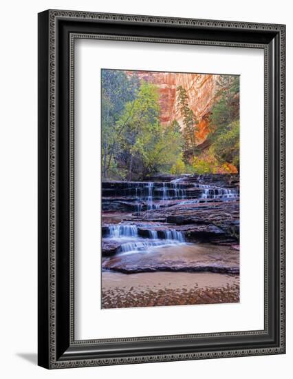 Utah, Zion National Park, Water Cascading Through Left Fork of North Creek-Jamie And Judy Wild-Framed Photographic Print