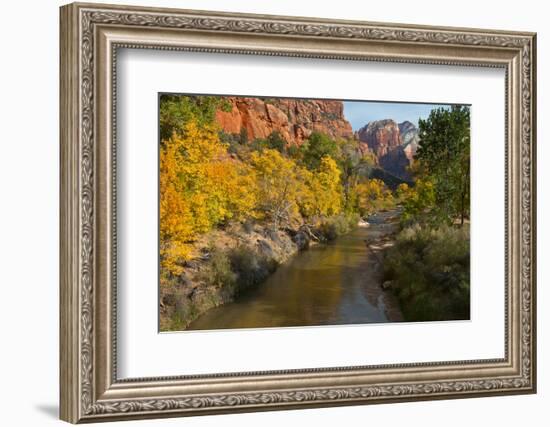 Utah, Zion National Park. Zion Canyon and Virgin River with Cottonwood Trees-Jaynes Gallery-Framed Photographic Print