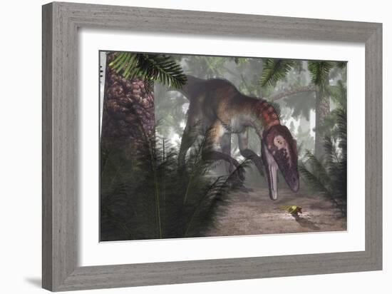 Utahraptor Dinosaur Hunting a Gecko-Stocktrek Images-Framed Art Print