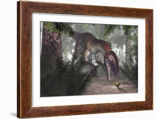 Utahraptor Dinosaur Hunting a Gecko-Stocktrek Images-Framed Art Print