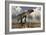 Utahraptor Dinosaur Running in the Desert-Stocktrek Images-Framed Art Print