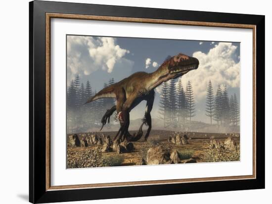 Utahraptor Dinosaur Running in the Desert-Stocktrek Images-Framed Art Print