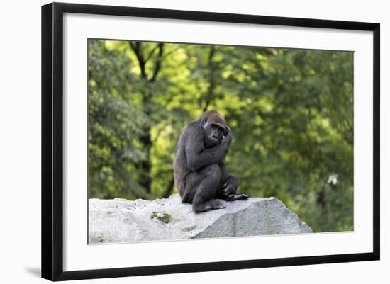 Photographic Print, , large