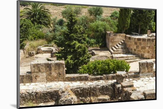 Utica Punic and Roman Archaeological Site, Tunisia, North Africa-Nico Tondini-Mounted Photographic Print