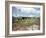 Utility Buildings at the People's Temple Agricultural Project, in Jonestown, Guyana, 1978-null-Framed Photo