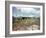 Utility Buildings at the People's Temple Agricultural Project, in Jonestown, Guyana, 1978-null-Framed Photo