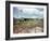 Utility Buildings at the People's Temple Agricultural Project, in Jonestown, Guyana, 1978-null-Framed Photo