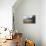 Utility Pipes, Artwork-Jose Antonio-Mounted Photographic Print displayed on a wall