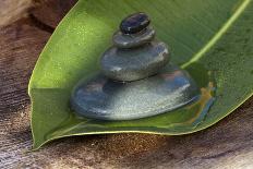 Orchid Blossom on Black Stones-Uwe Merkel-Photographic Print