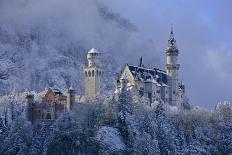 Germany, Bavaria, Neuschwanstein Castle in Winter, Morning Fog, Schwangau Near FŸssen-Uwe Steffens-Photographic Print