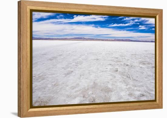 Uyuni Salt Flats (Salar De Uyuni), Uyuni, Bolivia, South America-Matthew Williams-Ellis-Framed Premier Image Canvas