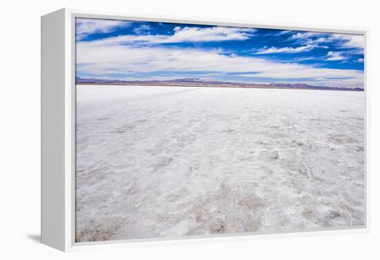 Uyuni Salt Flats (Salar De Uyuni), Uyuni, Bolivia, South America-Matthew Williams-Ellis-Framed Premier Image Canvas