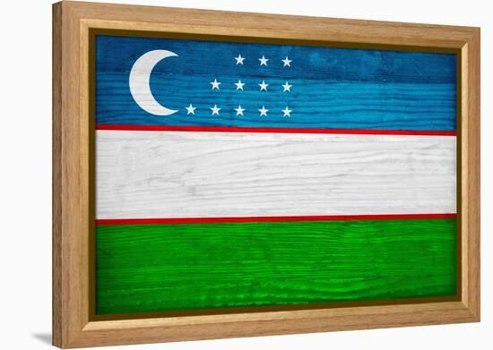 Uzbekistan Flag Design with Wood Patterning - Flags of the World Series-Philippe Hugonnard-Framed Stretched Canvas