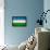 Uzbekistan Flag Design with Wood Patterning - Flags of the World Series-Philippe Hugonnard-Framed Stretched Canvas displayed on a wall