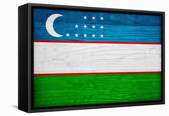 Uzbekistan Flag Design with Wood Patterning - Flags of the World Series-Philippe Hugonnard-Framed Stretched Canvas