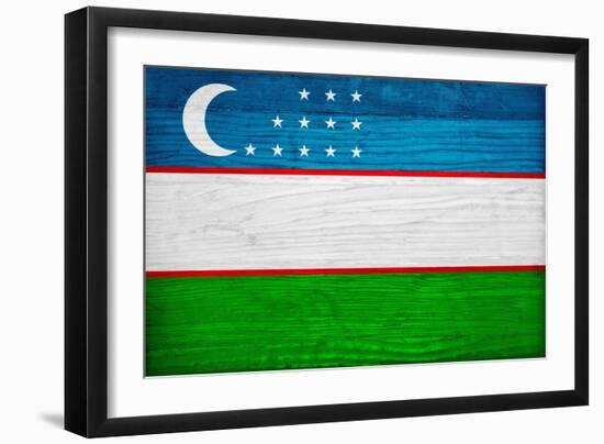 Uzbekistan Flag Design with Wood Patterning - Flags of the World Series-Philippe Hugonnard-Framed Art Print