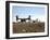 V-22 Osprey Tiltrotor Aircraft Arrive at Camp Bastion, Afghanistan-Stocktrek Images-Framed Photographic Print