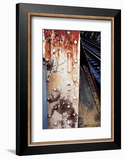 V Gallery C-Linda Lauby-Framed Art Print