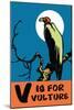 V is for Vulture-Charles Buckles Falls-Mounted Art Print