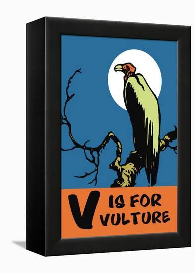 V is for Vulture-Charles Buckles Falls-Framed Stretched Canvas