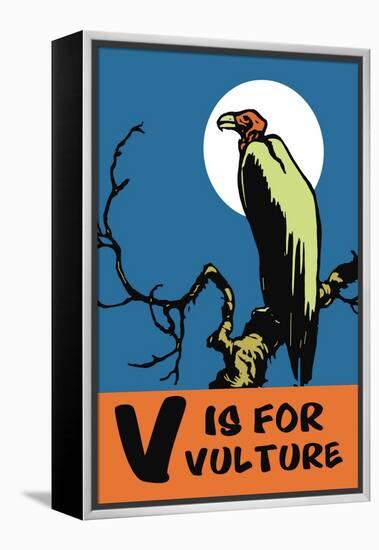 V is for Vulture-Charles Buckles Falls-Framed Stretched Canvas